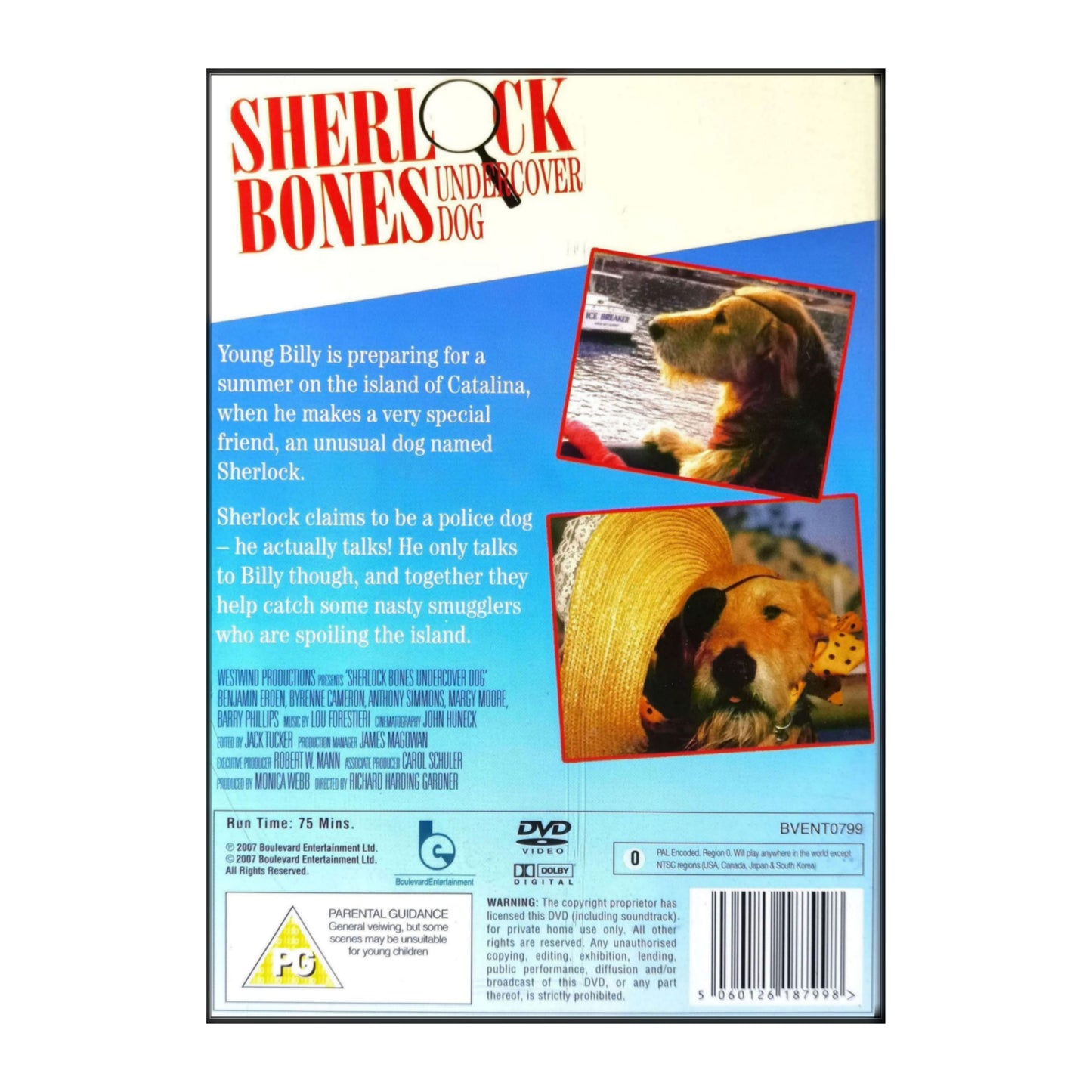 Sherlock Bones: Undercover Dog