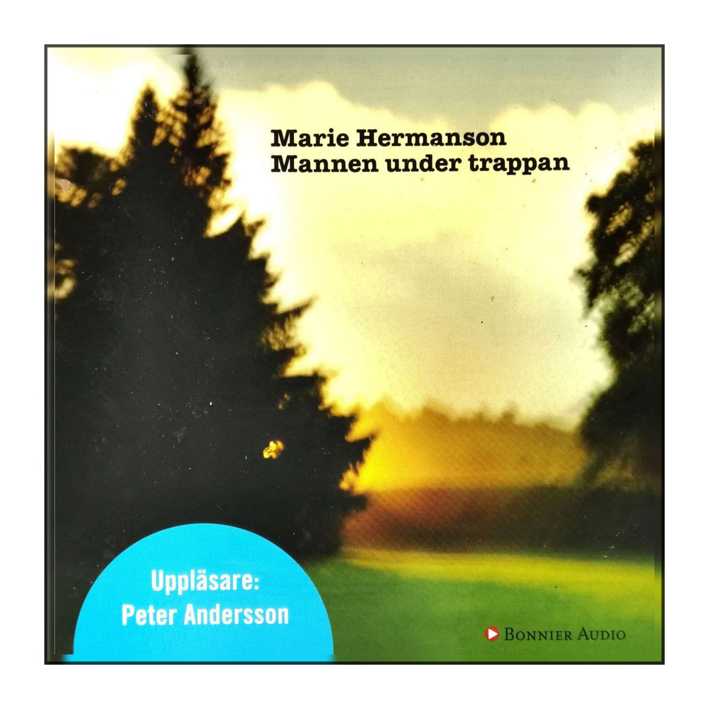 Marie Hermanson: Mannen Under Trappan