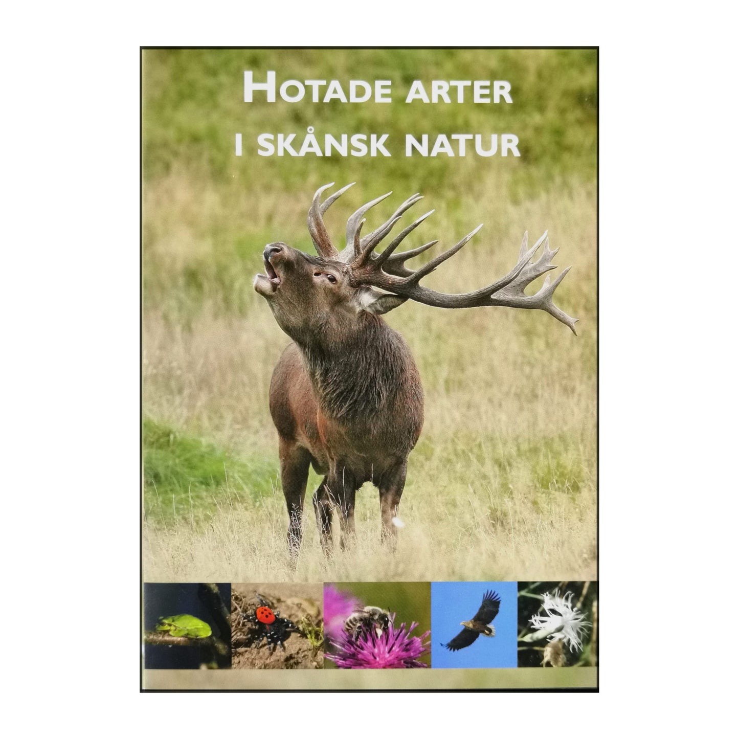 Skånes Natur Hotatde Arter