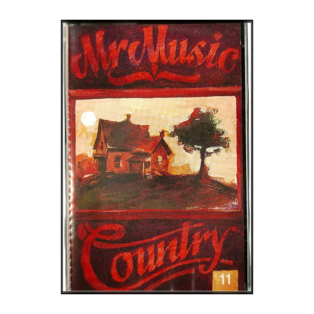 Mr Music Country 1993/11