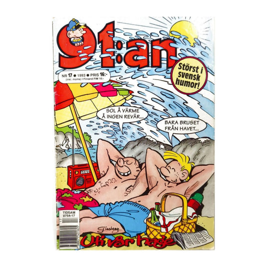 91An 1993 Nr 17