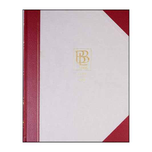 Bra Böckers Lexikon 2000 Band 17