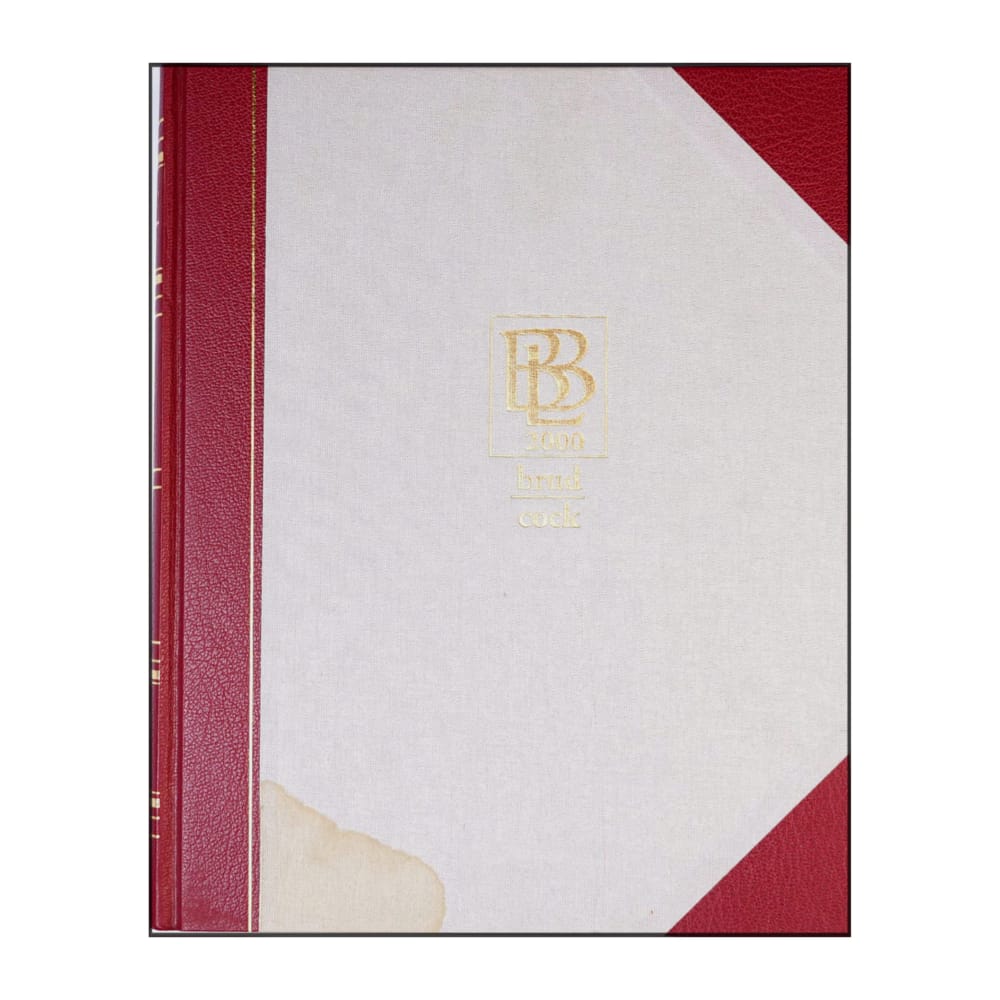 Bra Böckers Lexikon 2000 Band 4