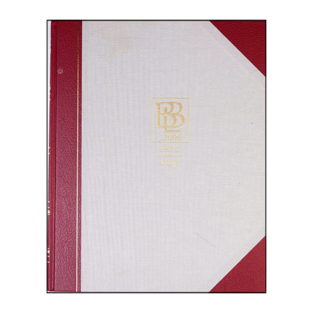 Bra Böckers Lexikon 2000 Band 21