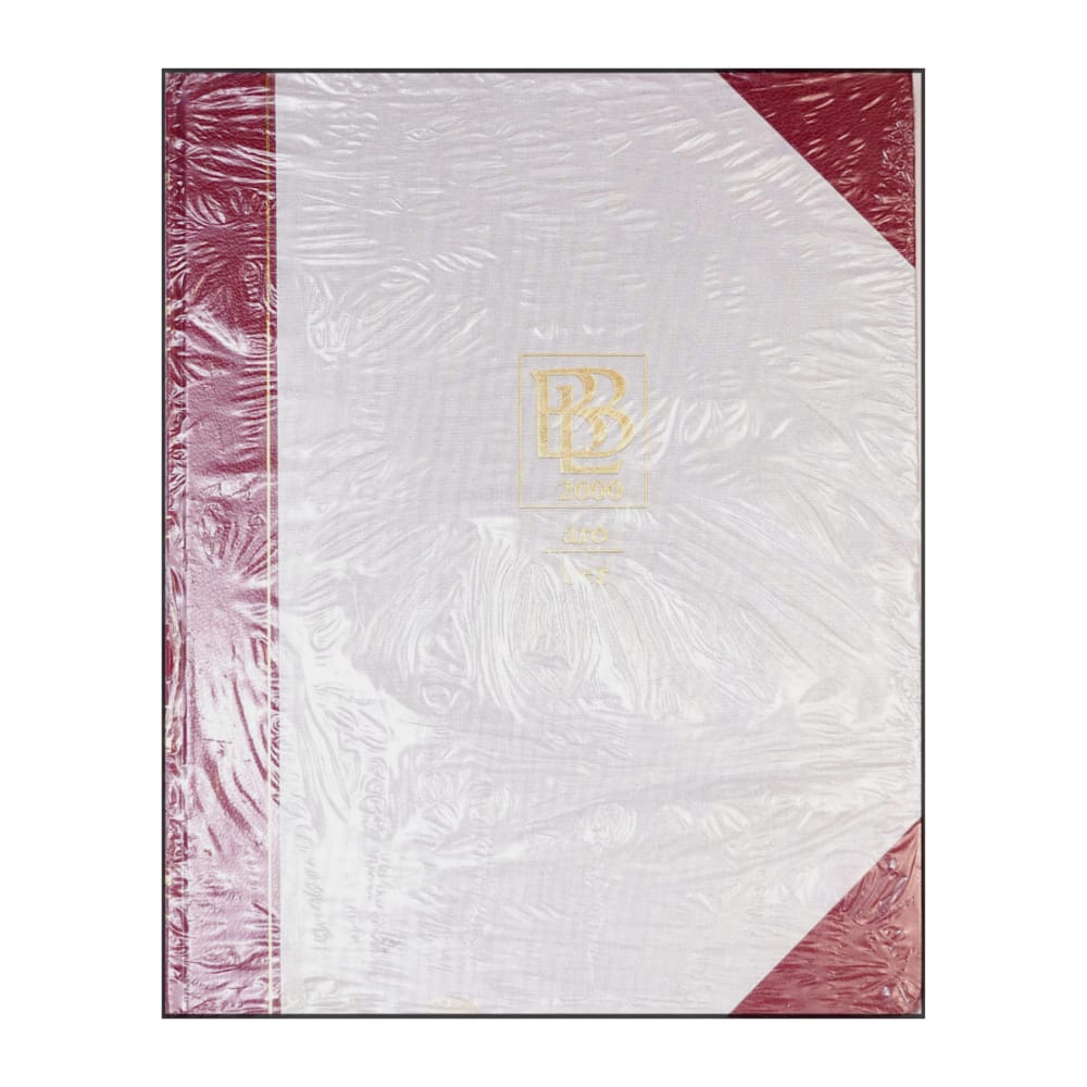 Bra Böckers Lexikon 2000 Band 2