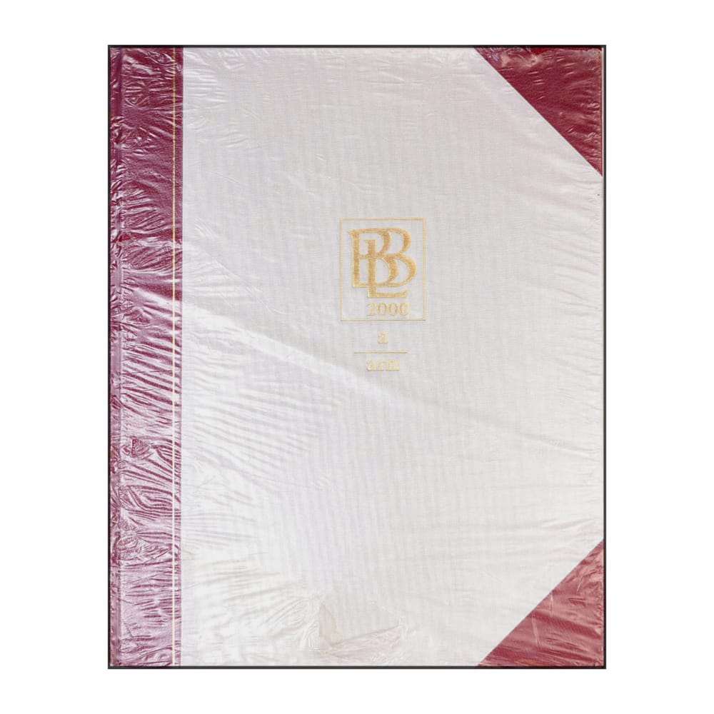 Bra Böckers Lexikon 2000 Band 1