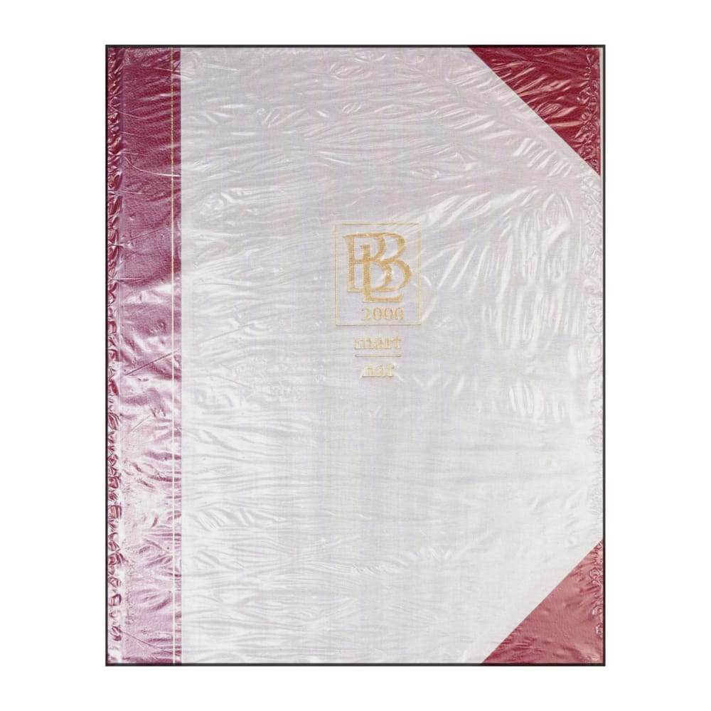 Bra Böckers Lexikon 2000 Band 16