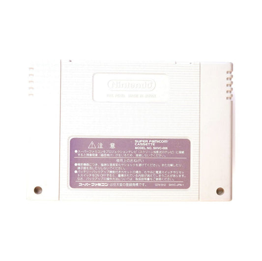 Jikkyou Power Pro Wrestling 96 - Max Voltage