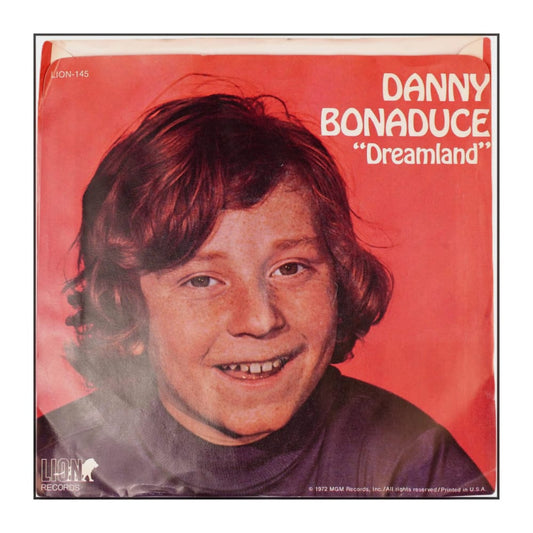 Danny Bonaduce: Blueberry You / Dreamland