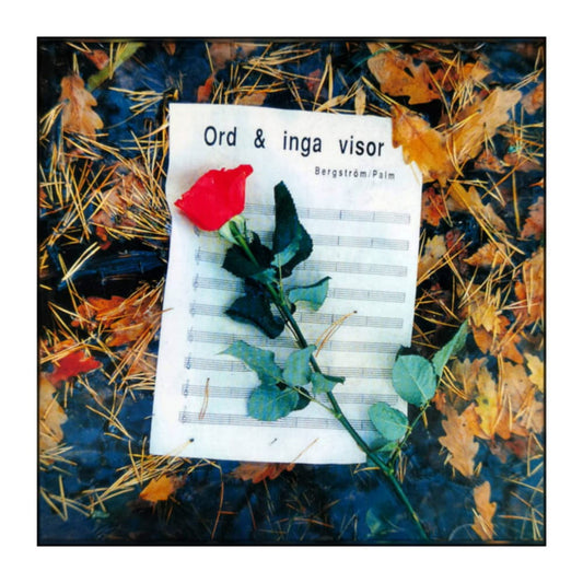 Ord & Inga Visor