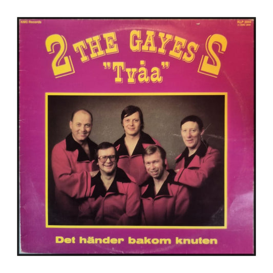 The Gayes: Tvåa - Det Händer Bakom Knuten