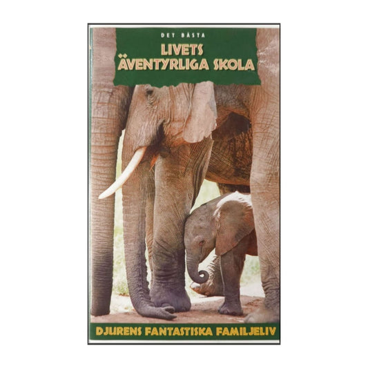 Djurens Fantastiska Familjeliv: Livets Äventyrliga Skola