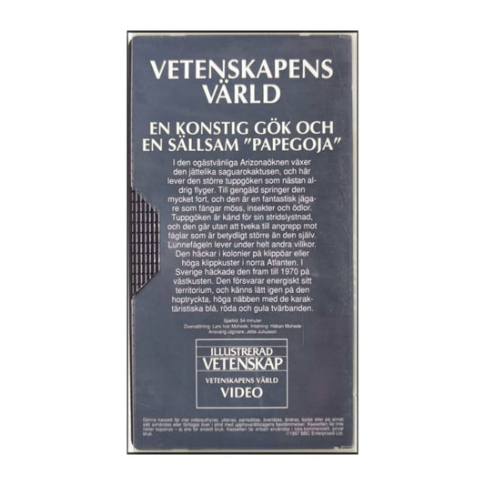 Vetenskapens Värld: En Konstig Gök Och En Sällsam Papegoja