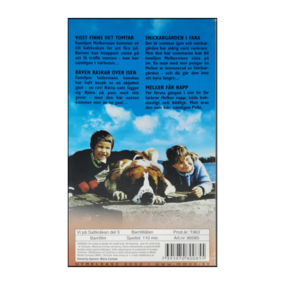 Vi På Saltkråkan 3 Räven Raskar Över Isen
