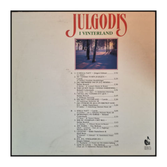 Julgodis I Vinterland