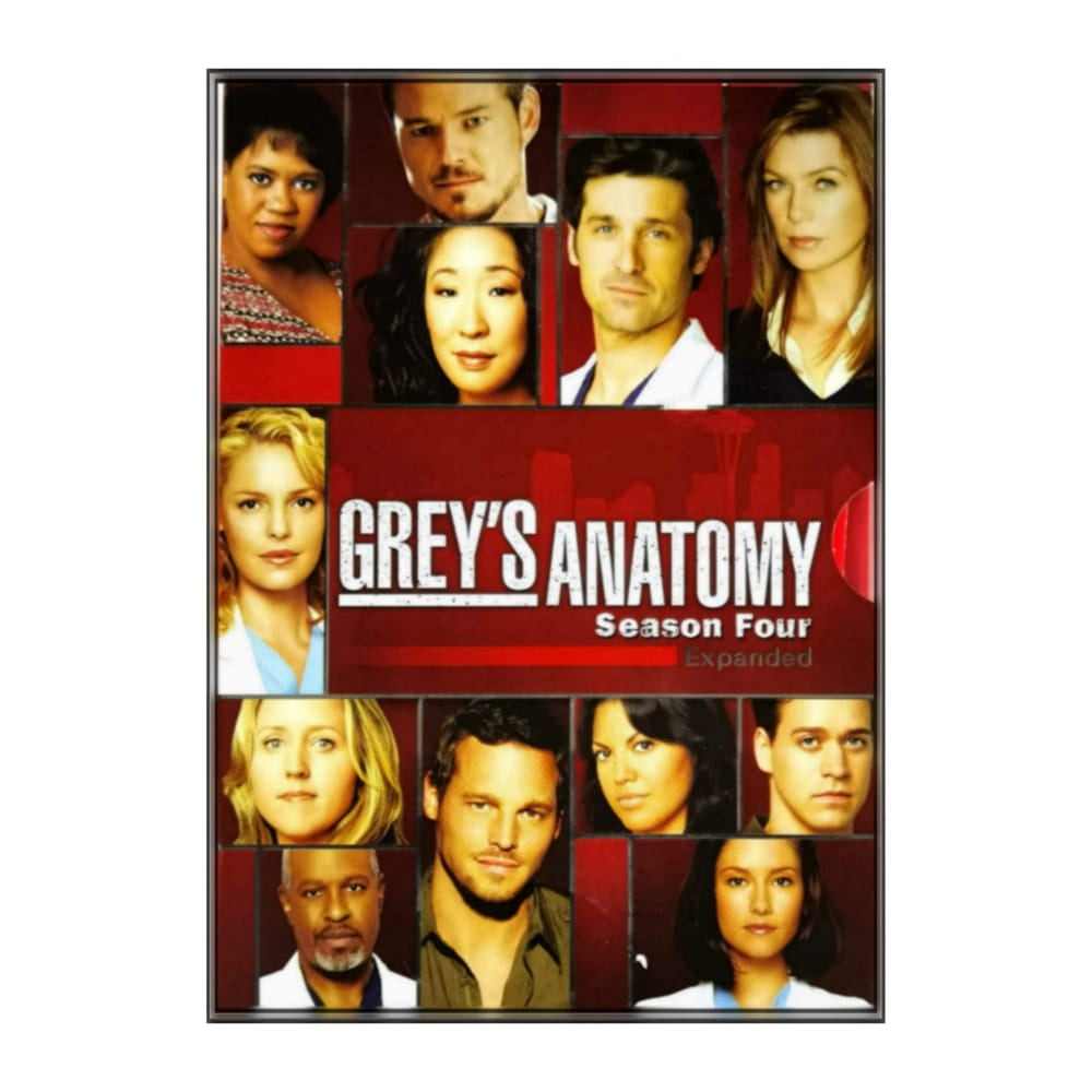 Grey'S Anatomy 4