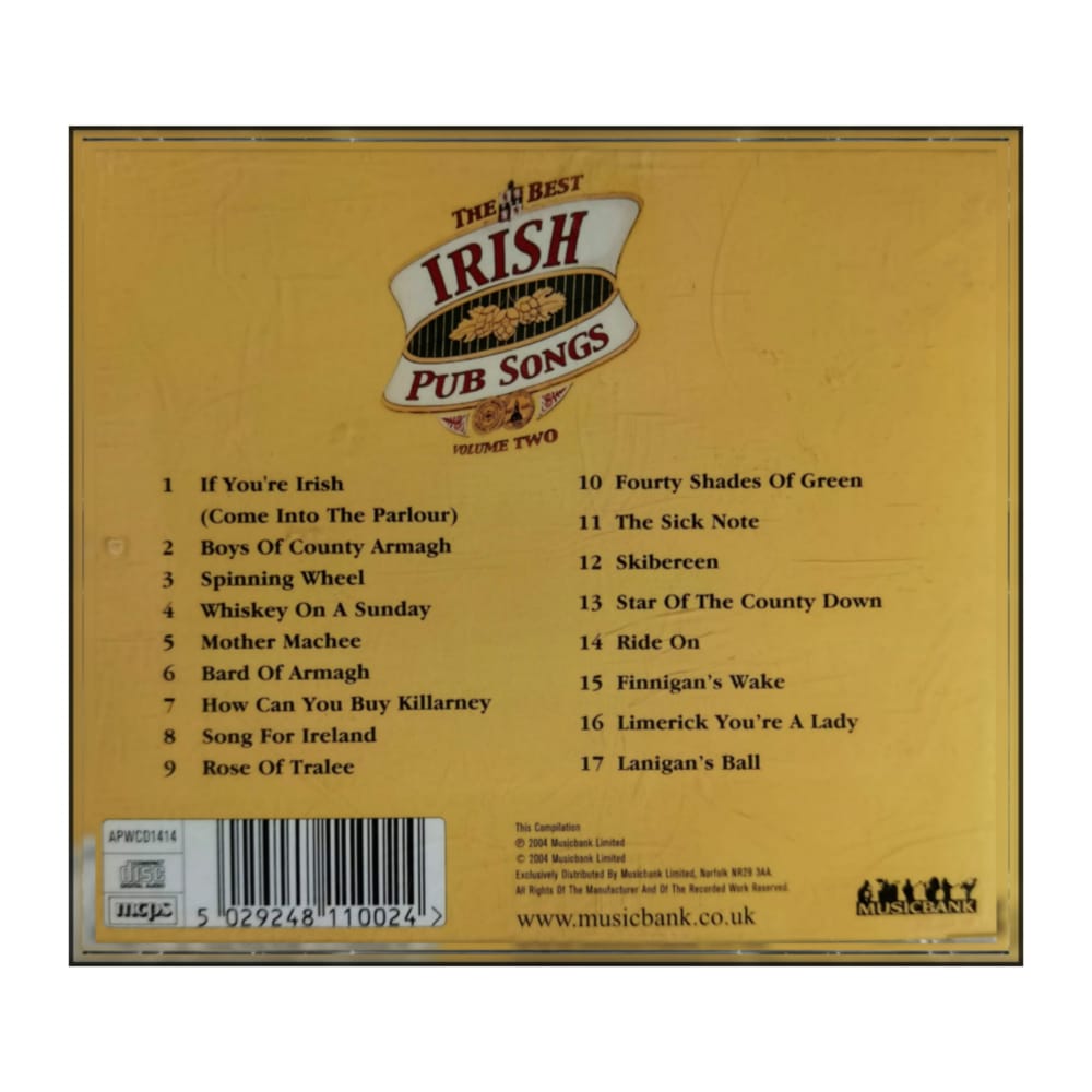 Best Of Irish Pub Songs 2