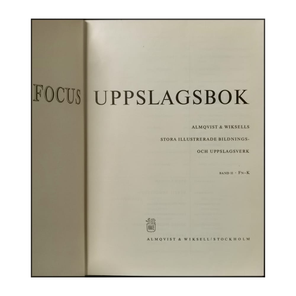 Focus Uppslagsbok 2
