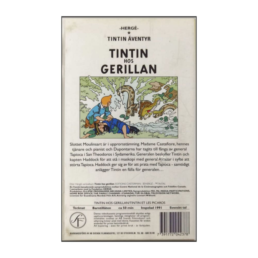 Tintin Hos Gerillan