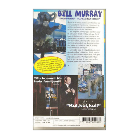 Larger Than Life | X-Large