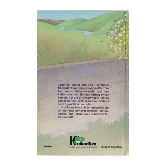 Patricia M. St. John: Gömd I Körsbärsträdet