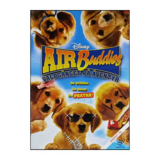Buddies: Air Buddies
