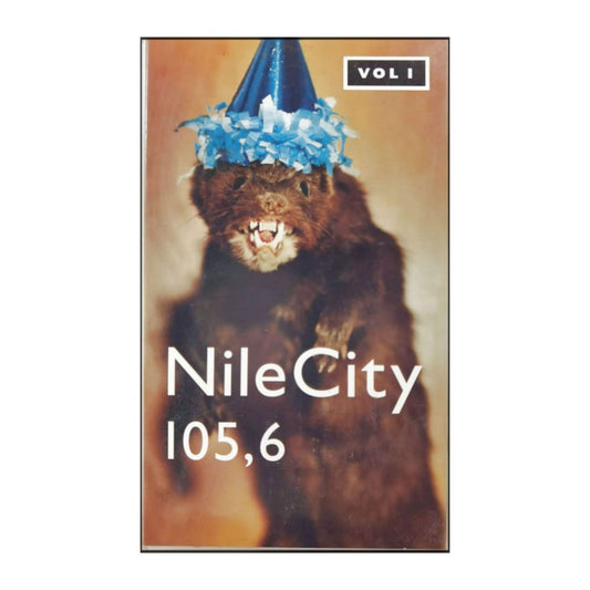 Nilecity 105.6 V1