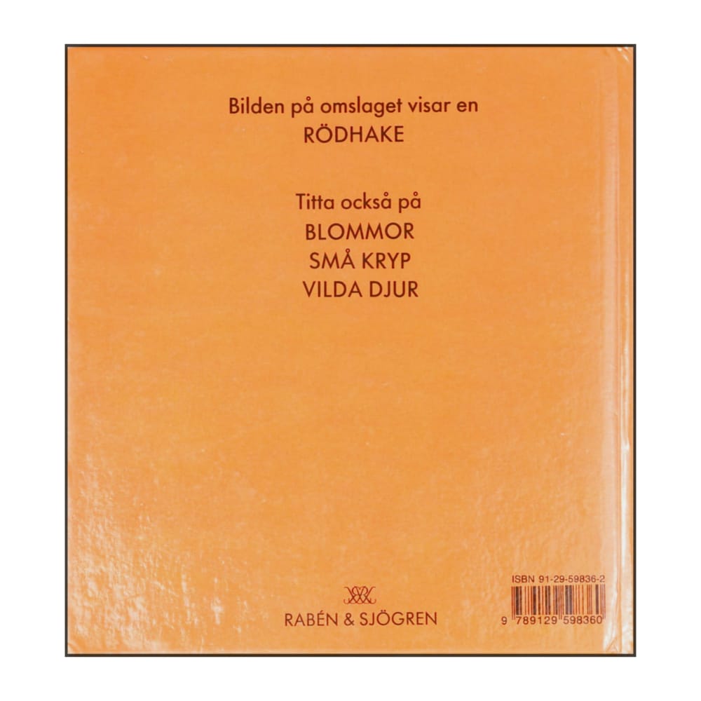 Astrid Bergman Sucksdorff: Mina Första Fåglar