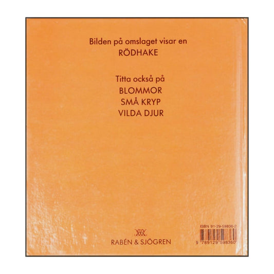 Astrid Bergman Sucksdorff: Mina Första Fåglar