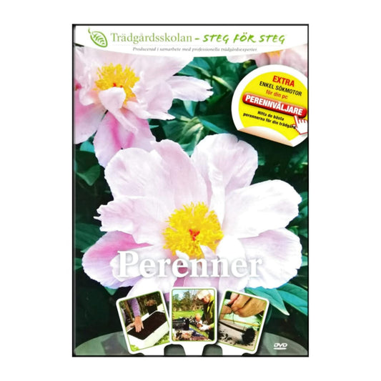 Trädgårdsskolan: Perenner