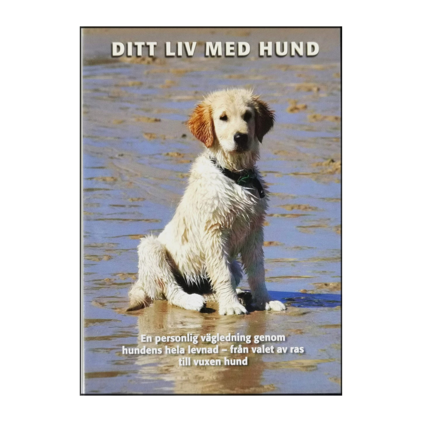 Ditt Liv Med Hund
