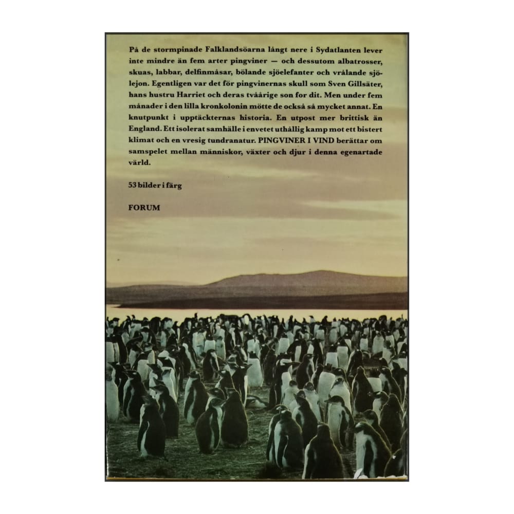 Sven Gillsäter: Pingviner I Vind