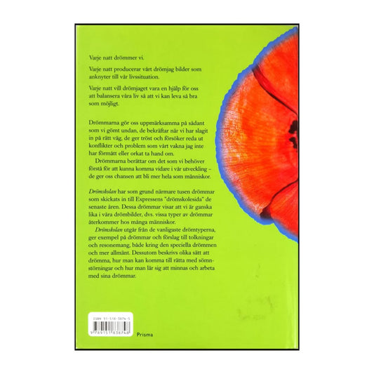 Lillebeth Nordqvist: Drömskolan