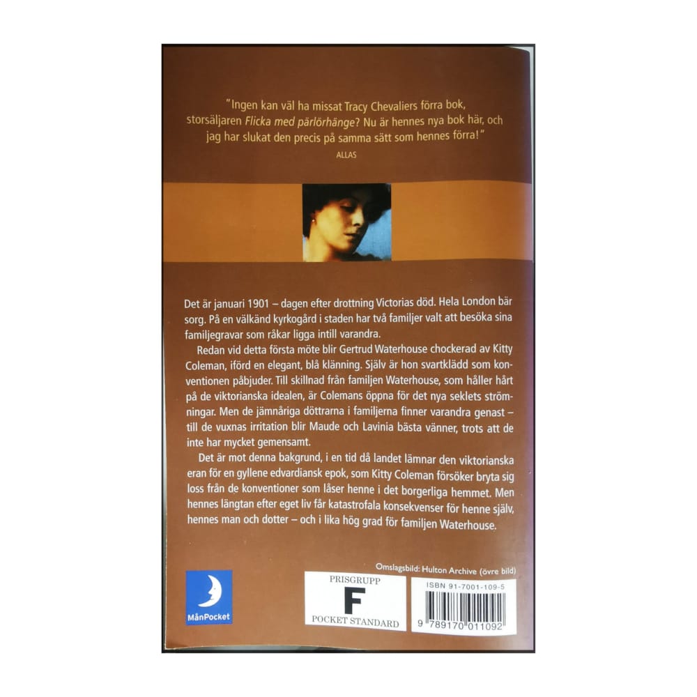 Tracy Chevalier: När Änglar Faller