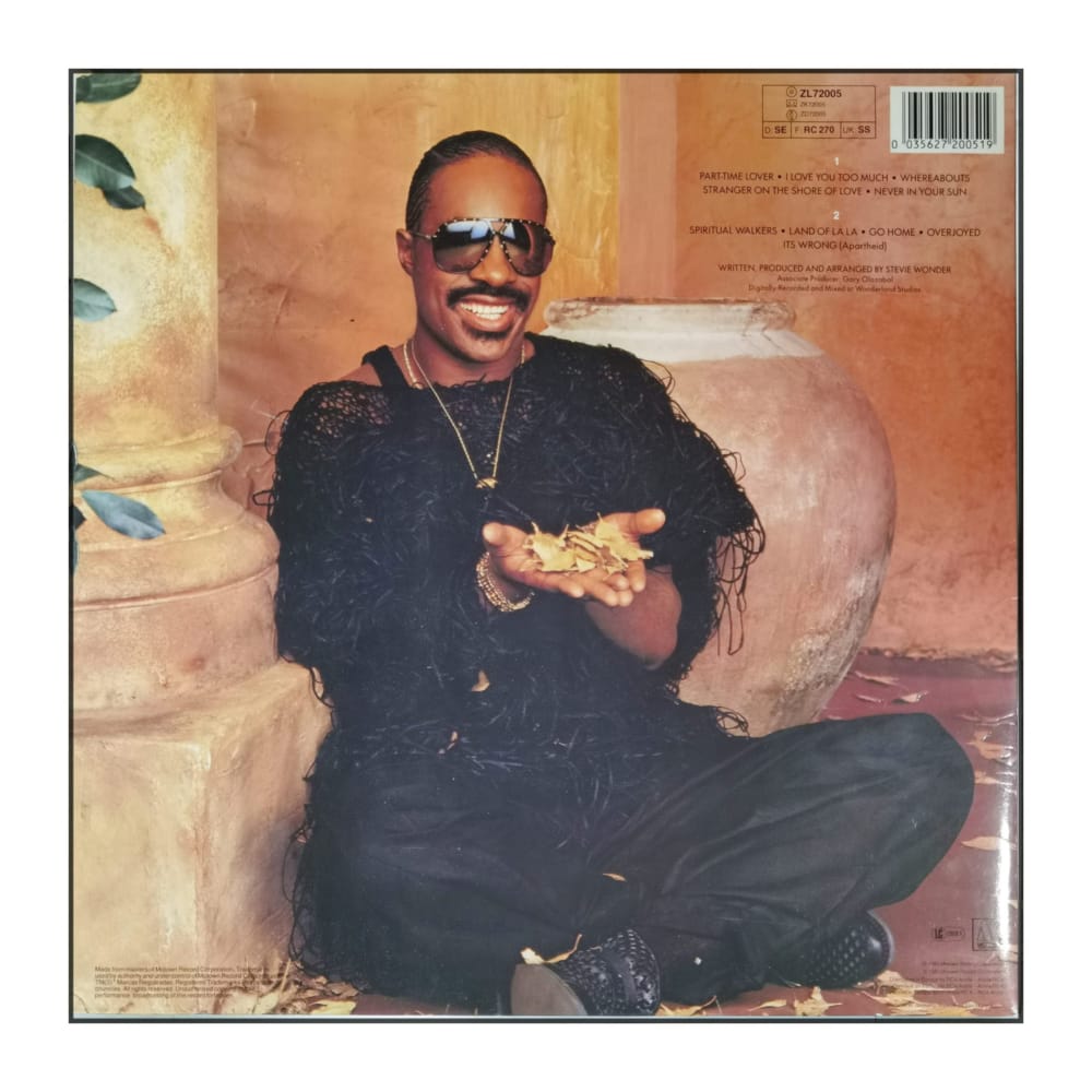 Stevie Wonder: In Square Circle