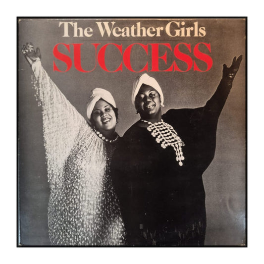 The Weather Girls: Success