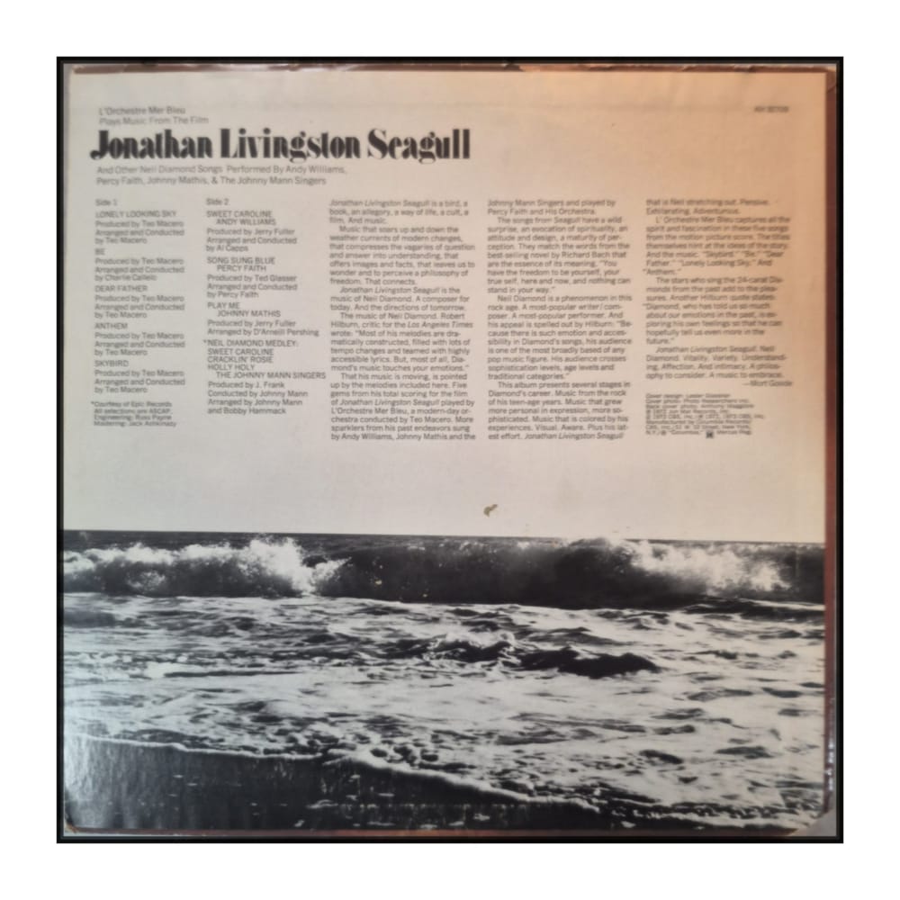 Jonathan Livingston Seagull: L'Orchestre Mer Bleu