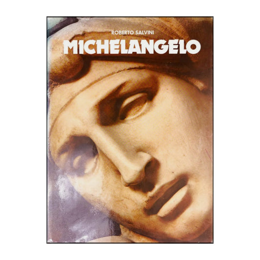Roberto Salvini: Michelangelo