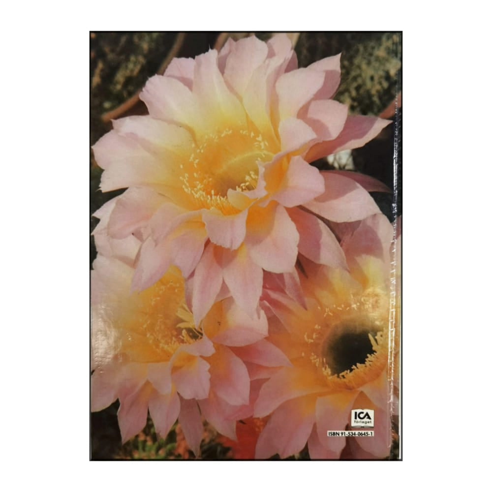 Allt Om Krukväxter 8 Kaktusar