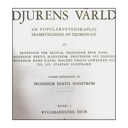 Djurens Värld 3