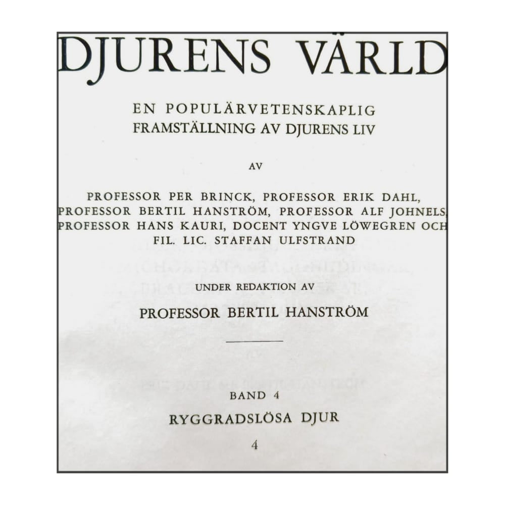 Djurens Värld 4