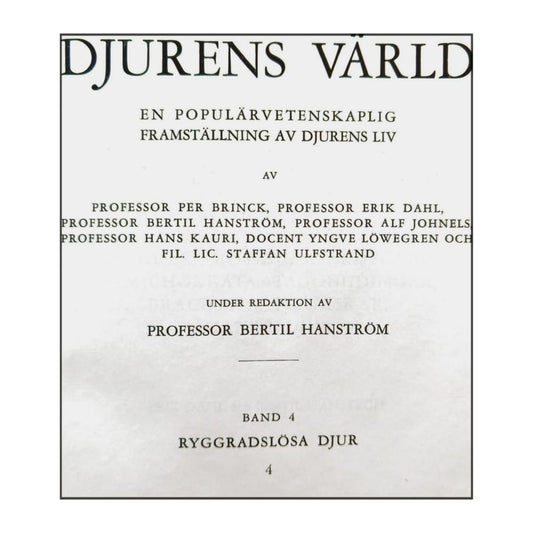 Djurens Värld 4