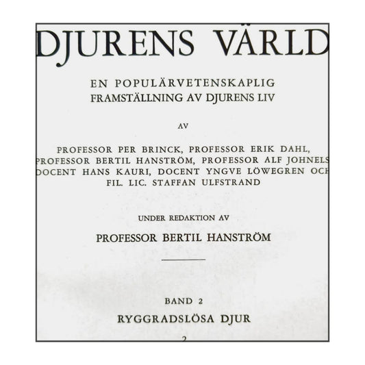 Djurens Värld 2