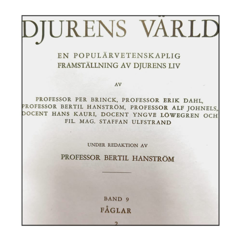 Djurens Värld 9