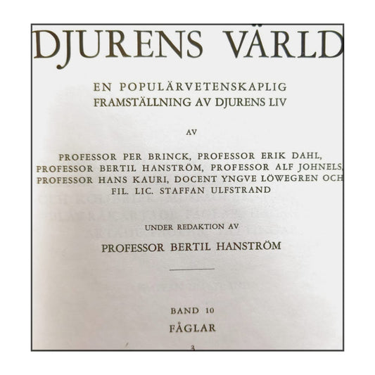 Djurens Värld 10