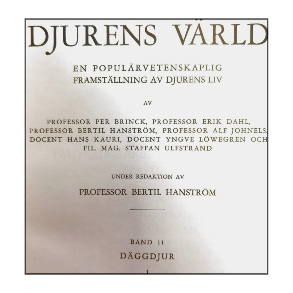 Djurens Värld 11