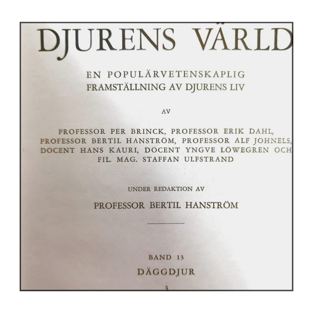 Djurens Värld 13