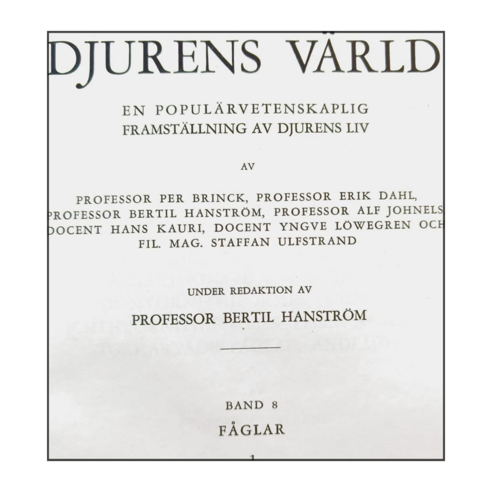 Djurens Värld 8