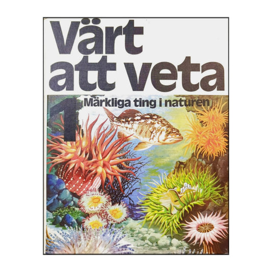 Värt Att Veta 1 Märkliga Ting I Naturen