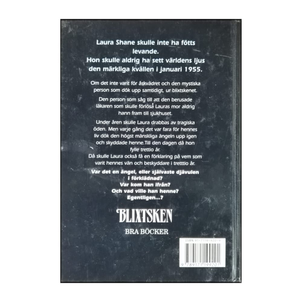 Dean Koontz: Blixtsken